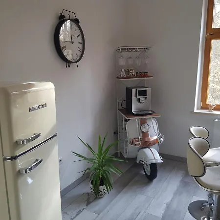 Apartament Domizil Adler Drezno